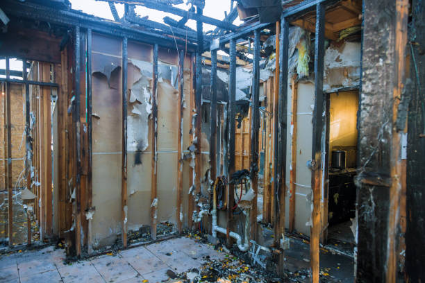 Professional Soot Cleanup technician working in Towamensing Trails, PA